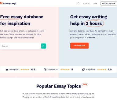 StudyCorgi ChatGPT Detector